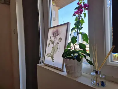 a window sill with a picture and a potted plant at Apartman REA 1 in Pirot