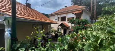 Gallery image of Apartmani Lovcen in Prolom