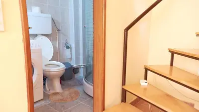 a bathroom with a toilet and a shower at Janković Apartmani u centru in Soko Banja