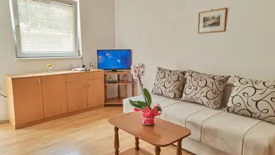 a living room with a couch and a table at Janković Apartmani u centru in Soko Banja