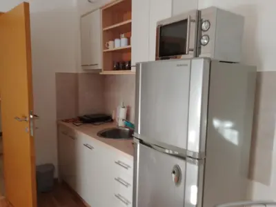 a kitchen with a stainless steel refrigerator and a sink at Vesna M in Soko Banja