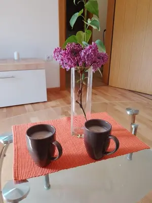 two cups of coffee and a vase of flowers on a table at Vesna M in Soko Banja