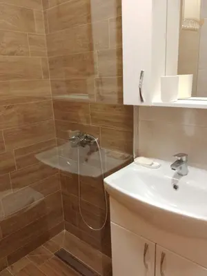 a bathroom with a shower and a sink at Vesna M in Soko Banja