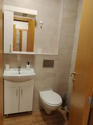 a bathroom with a toilet and a sink and a mirror at Vesna M in Soko Banja