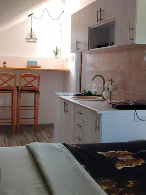 a kitchen with a sink and a counter top at Apartman Boba Vrnjačka Banja in Vrnjačka Banja