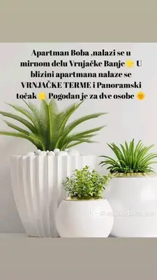 two potted plants sitting on a shelf with words on it at Apartman Boba Vrnjačka Banja in Vrnjačka Banja
