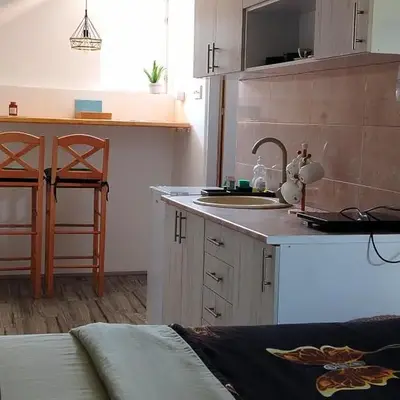 Apartman Boba Vrnjačka Banja