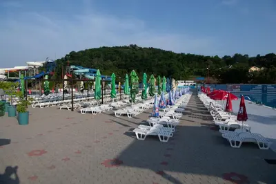 a row of lawn chairs and umbrellas on a beach at Petković apartmani 48 in Jagodina