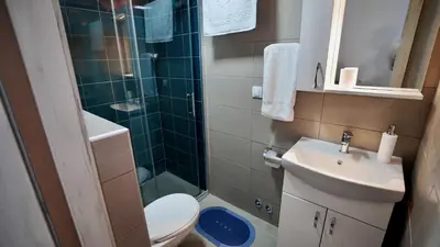 a bathroom with a shower and a toilet and a sink at Apartmani Vila Katarina in Vrnjačka Banja