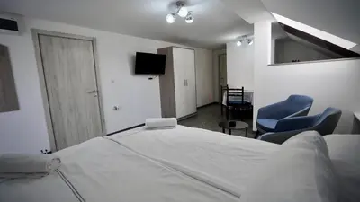 a bedroom with a bed and two chairs and a television at Apartmani Vila Katarina in Vrnjačka Banja