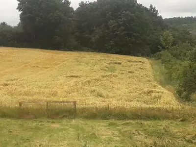 a hay field with a gate in the middle of it at Green apartments 2 in Kuršumlija