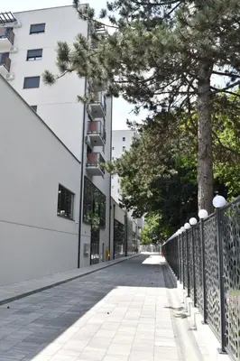 a street with a tree on the side of a building at Lux Apartman Crnjanski II, Jagodina in Jagodina