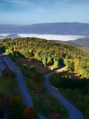 a winding road in the middle of a forest at Kopaonik Heights N97 Spa and Wellnes in Kopaonik