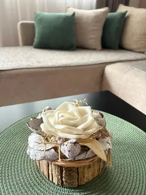 a bowl of whipped cream on a table in front of a couch at Soul Apartment Vrnjačka Banja in Vrnjačka Banja
