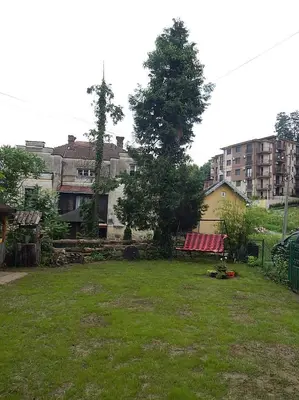 a park with a bench and a tree and buildings at Apartman Luka in Vrnjačka Banja