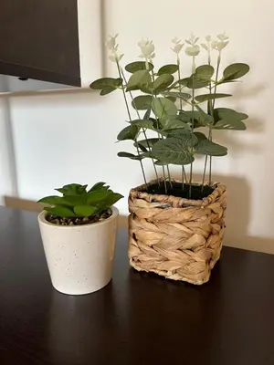 two plants in baskets sitting on a table at Devetka in Pirot