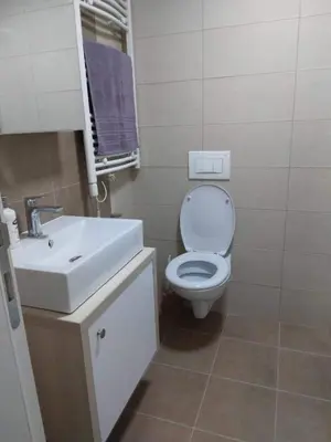 a bathroom with a white toilet and a sink at Green Apartman in Paraćin