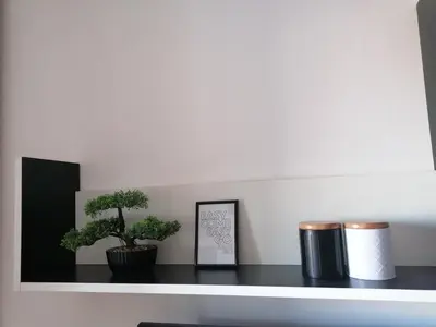 a shelf with two plants and a picture on it at Apartman Breza 3 in Kruševac