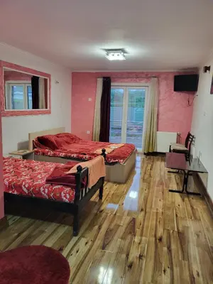 Gallery image of Miselin Apartmani in Vladičin Han