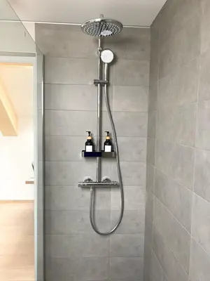 a shower with a shower head in a bathroom at Agro Lux Apartment - Milenović in Soko Banja