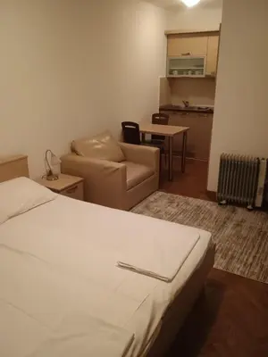 a room with a bed and a couch and a kitchen at Apartman Sneznik in Vrnjačka Banja