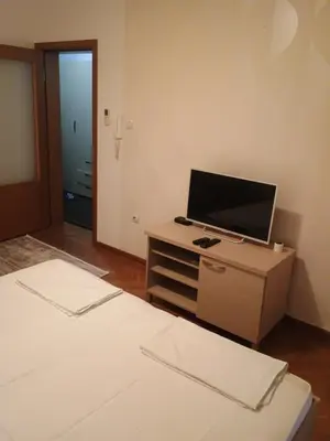 a bedroom with two beds and a television on a dresser at Apartman Sneznik in Vrnjačka Banja