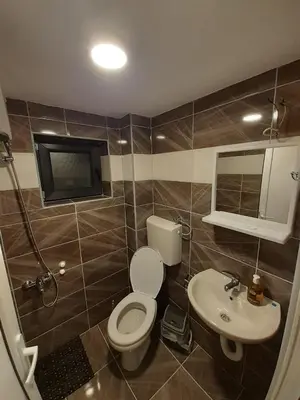 a bathroom with a toilet and a sink at STD Cvetković in Crni Vrh