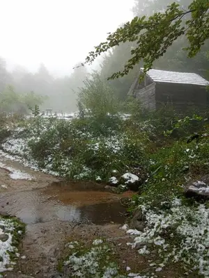 a shack on a snowy field with a creek at STD Cvetković in Crni Vrh