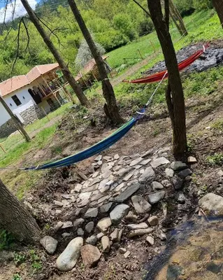 a group of hammocks tied to trees on a hill at Kmetova Bajka in Janja