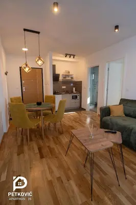 a living room with a couch and a table at Petković apartmani 35 in Jagodina