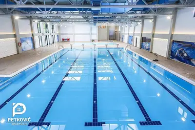 a large indoor swimming pool with blue water at Petković apartmani 35 in Jagodina