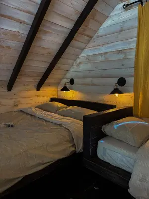 two beds in a room with wooden walls at Villa Prive and Spa in Kopaonik