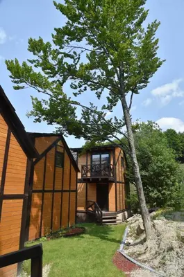 a tiny house with a tree in the yard at Villa Prive and Spa in Kopaonik