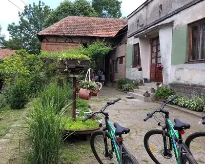 a group of bikes parked outside of a house at Domaćinstvo Ukusno Marković in Brusnik