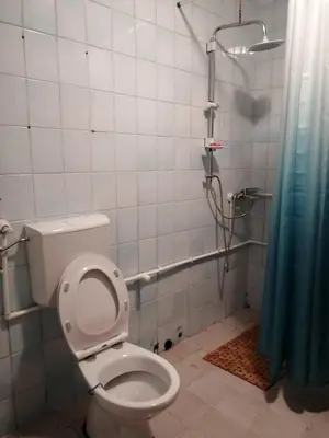 a bathroom with a toilet and a shower at Park 1 MARKO FREE PARKING in Vranje
