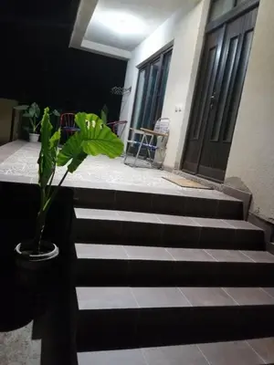 a plant in a pot sitting on top of some stairs at Park 1 MARKO FREE PARKING in Vranje