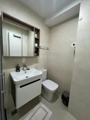 a bathroom with a white toilet and a sink at Lux apartment 8, center, free parking in Niš