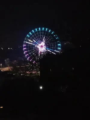 a ferris wheel is lit up at night at Apartman Vera in Vrnjačka Banja