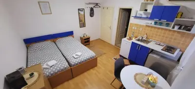 a small room with a bed and a kitchen at Apartman Marta in Vrnjačka Banja