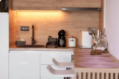 a small kitchen with a counter top with a stove at Mon réve Nlux79 in Kopaonik