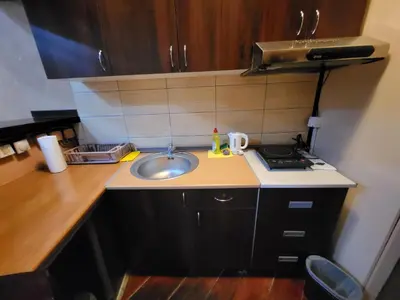 a small kitchen with a sink and a stove at LENA Apartman 45m2 Sokobanja-CENTAR in Soko Banja