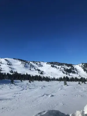 a snow covered slope with trees on a mountain at MONTANA apartment 9 in Kopaonik