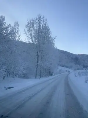a snow covered road with trees and a hill at MONTANA apartment 9 in Kopaonik