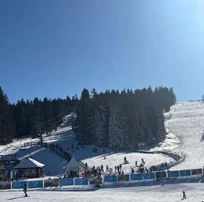 a group of people skiing down a snow covered slope at MONTANA apartment 9 in Kopaonik