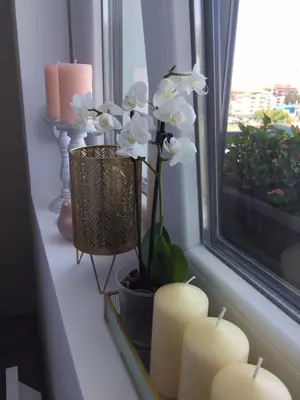 a window sill with candles and a vase with white flowers at Apartman Mijatovic in Jagodina