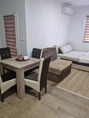 a living room with a table and chairs and a couch at Apartmani Zvezdana in Vrnjačka Banja
