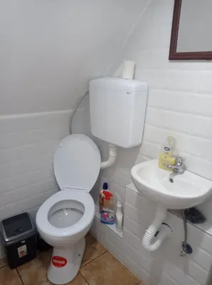 a bathroom with a toilet and a sink at Koliba Joca in Lepterija