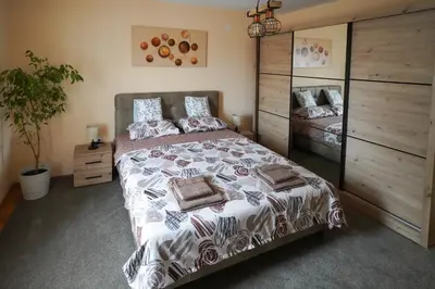 a bedroom with a large bed and a plant at City center in Zaječar