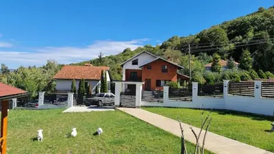 a group of birds standing in the grass in front of a house at Vila Kruna in Soko Banja