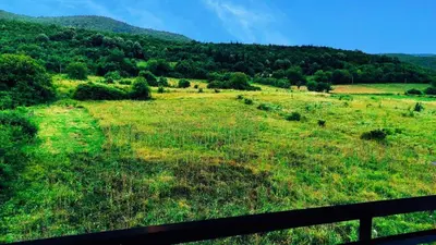 a field of grass with a fence in the foreground at Apartman Pan in Soko Banja
